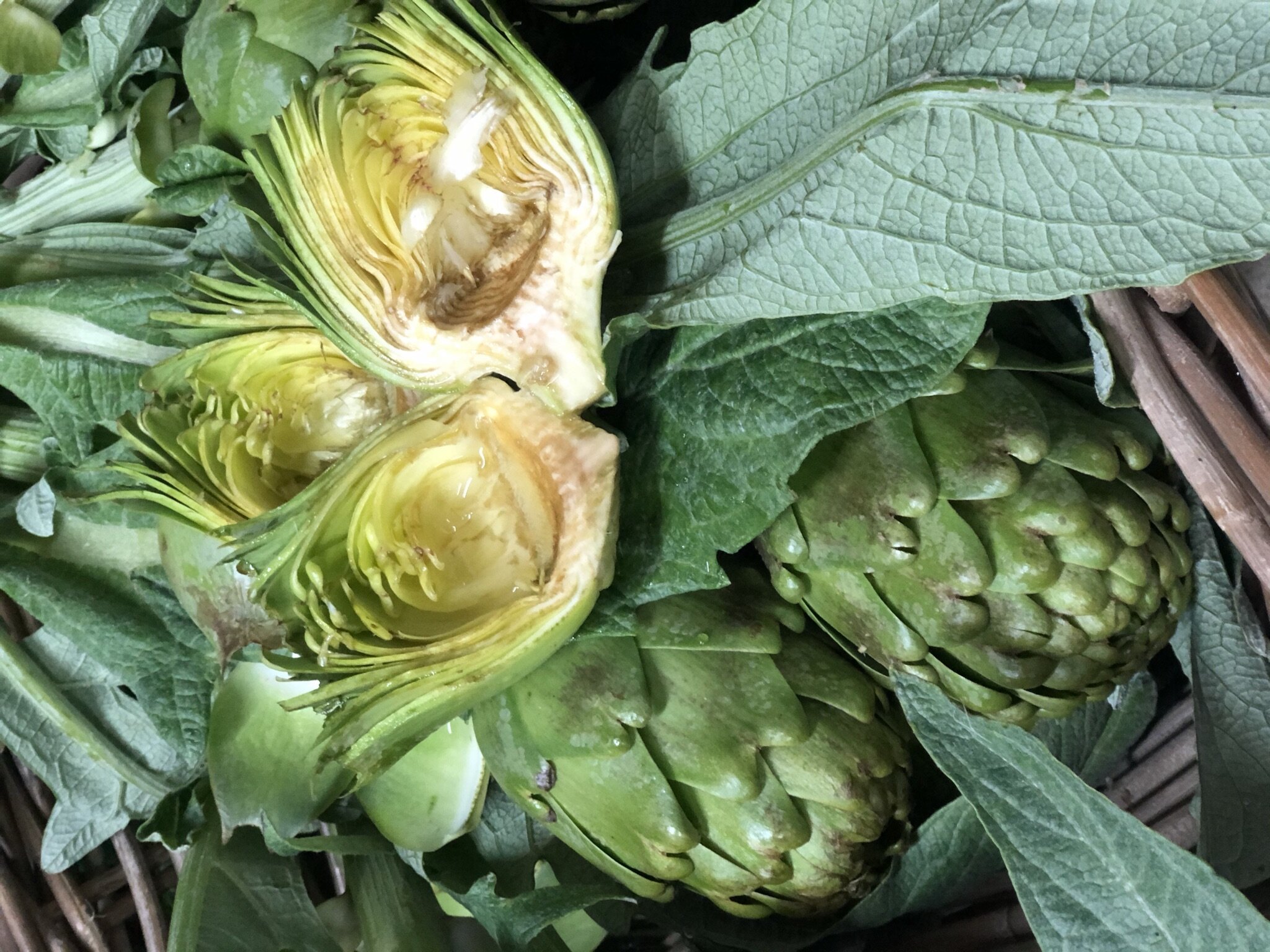 Artichoke 3.jpeg