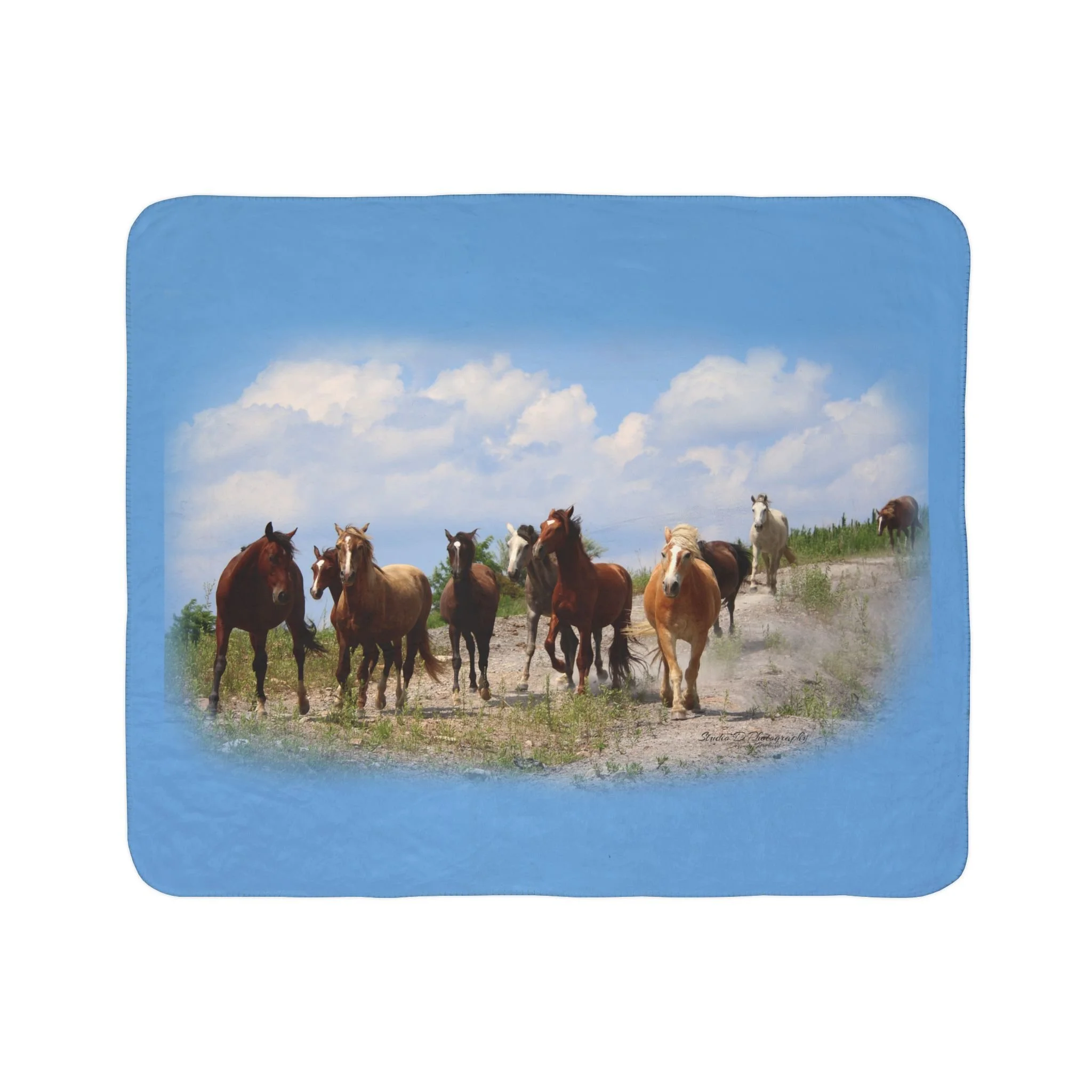 86b0f88099f6f7276b53642ab0540d12