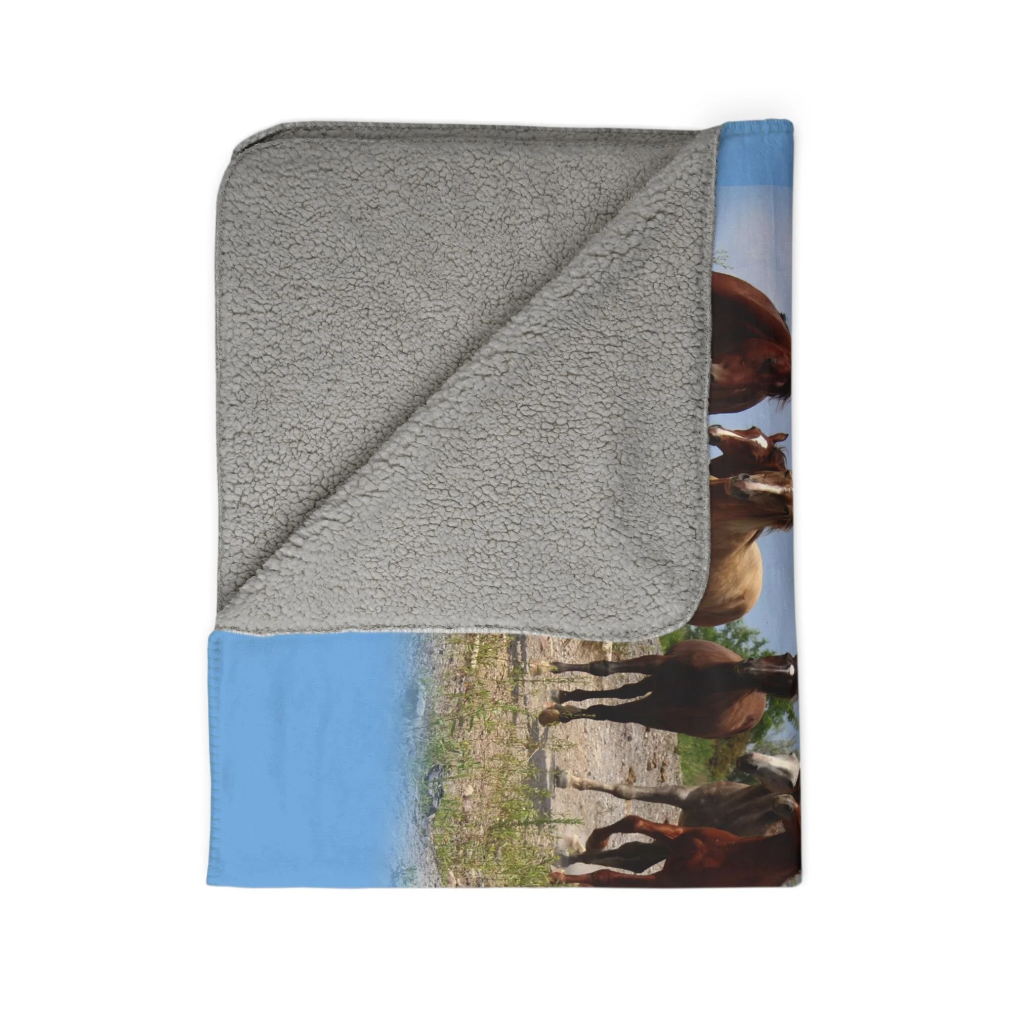 5f317c2061896bcaa30d7a8e21adb963