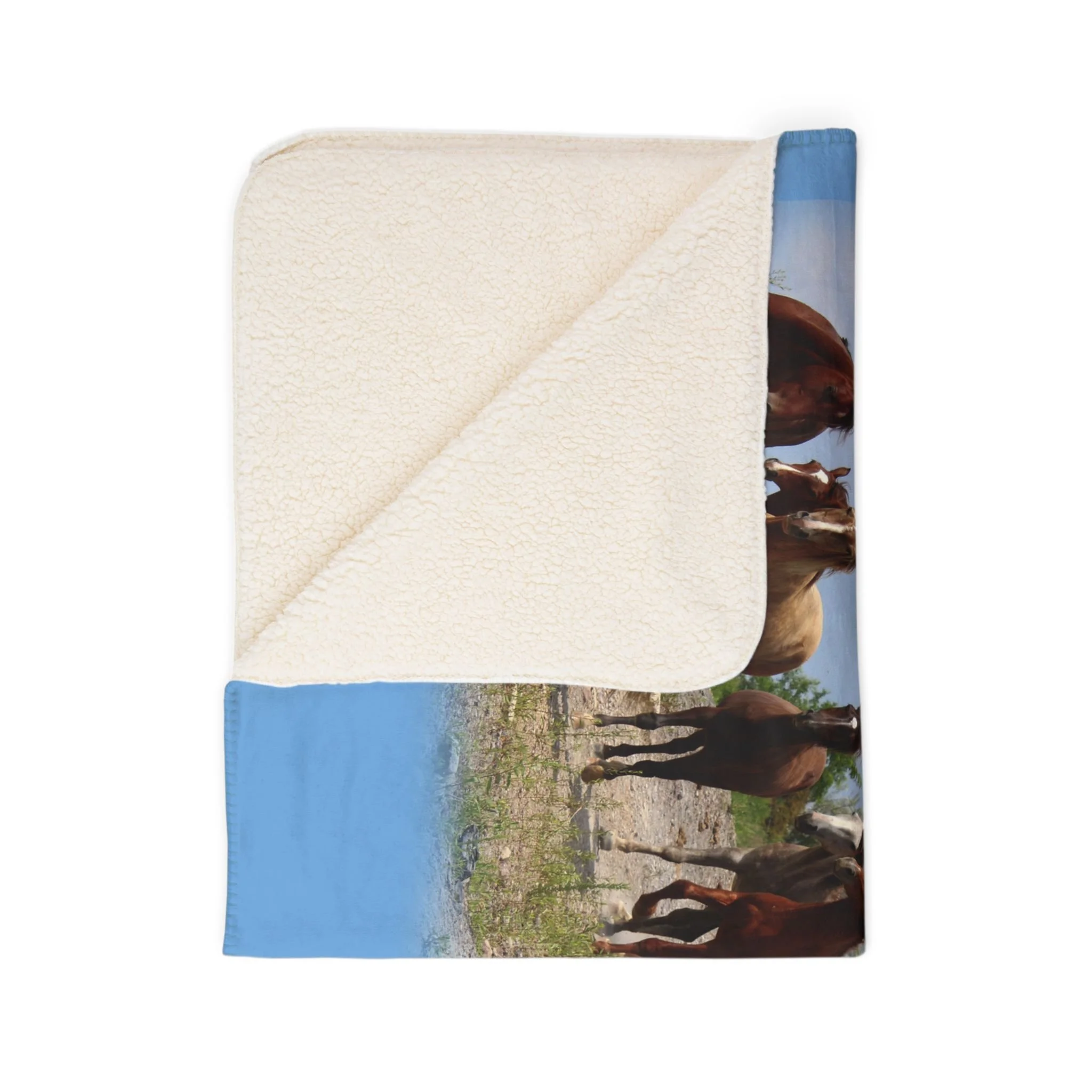 2a4eb03d65fde2bc16e900a95e6c9875