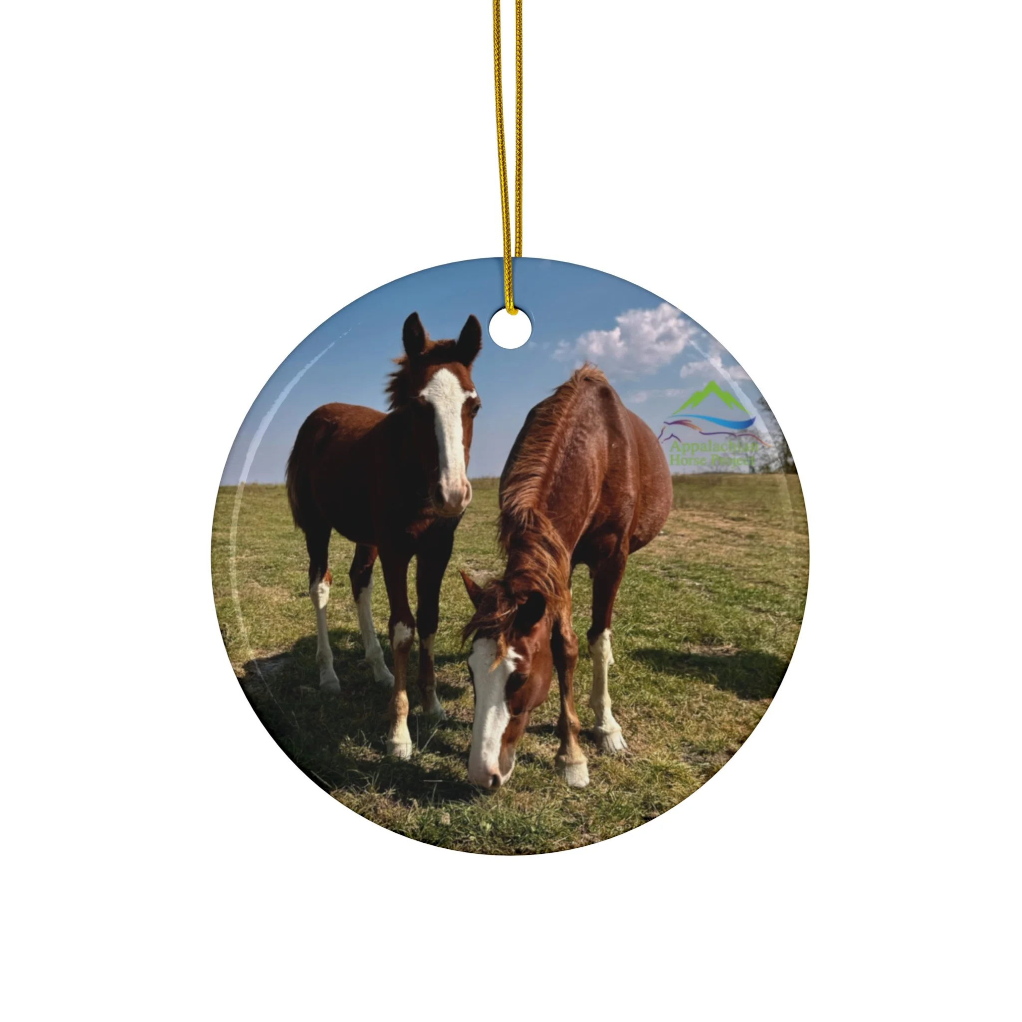 8ce0077e2298c458ef7f674ac69d4610