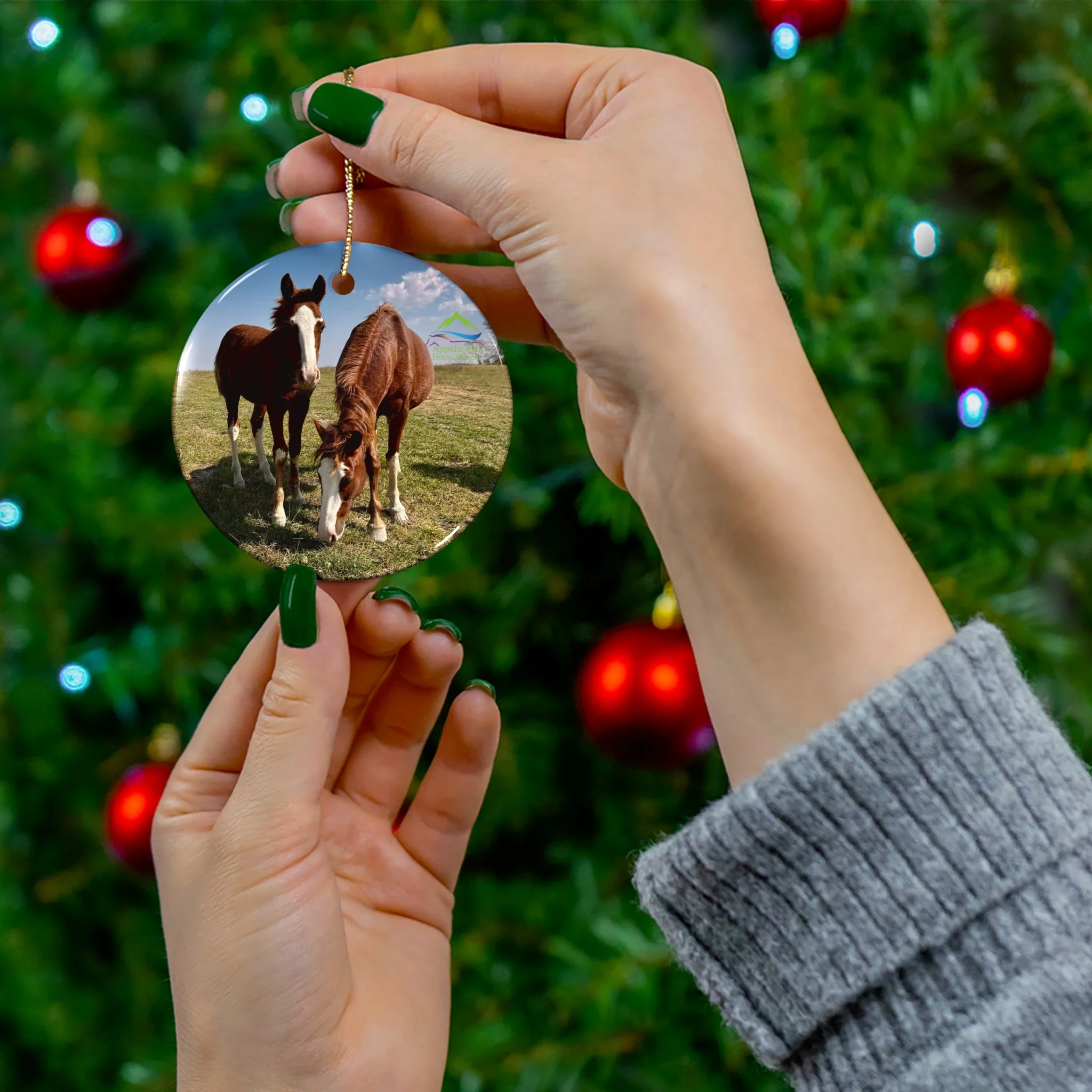 f06e01d9bcaad674528cecb9ada50865