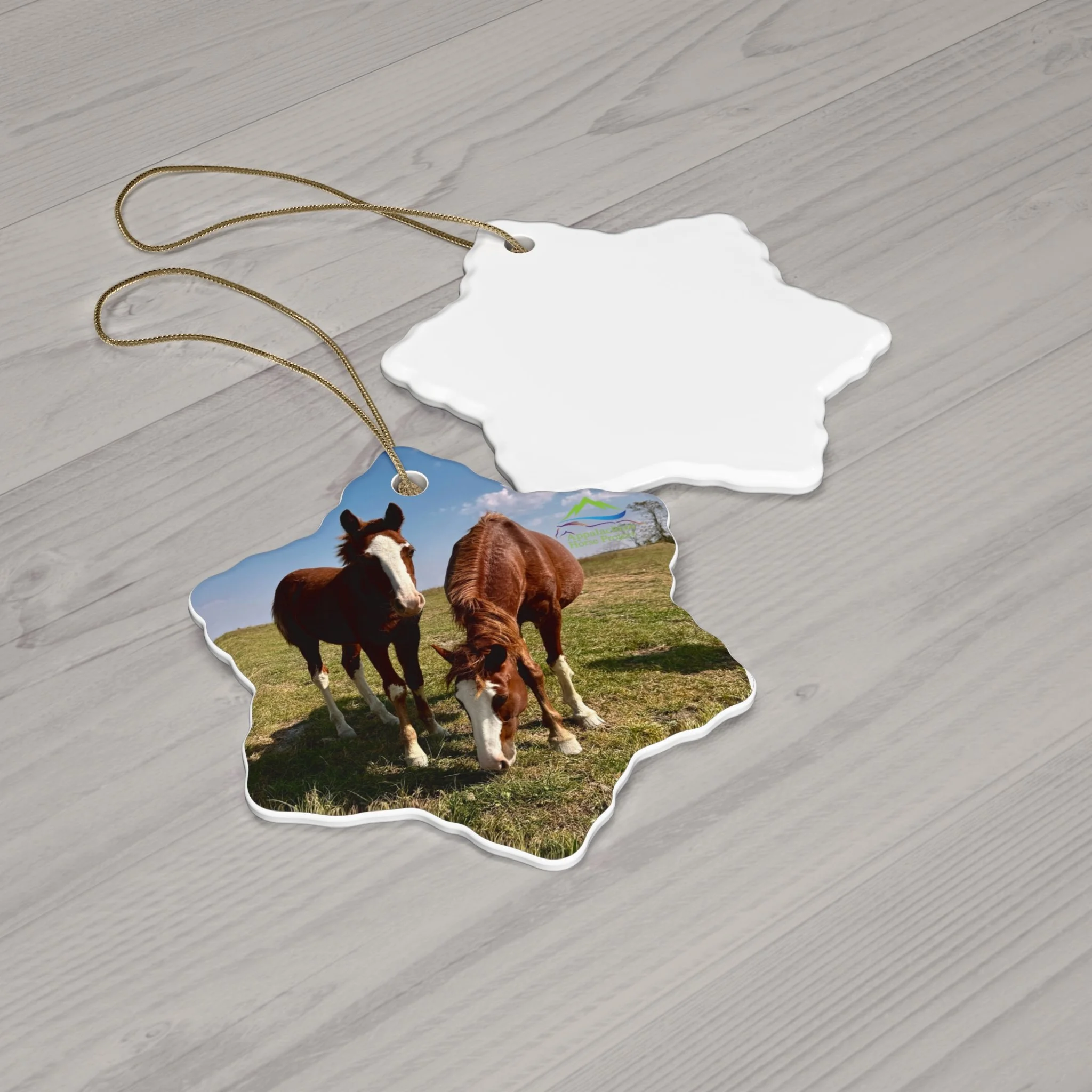 8bd50918222b53e6641d000f158e81c7