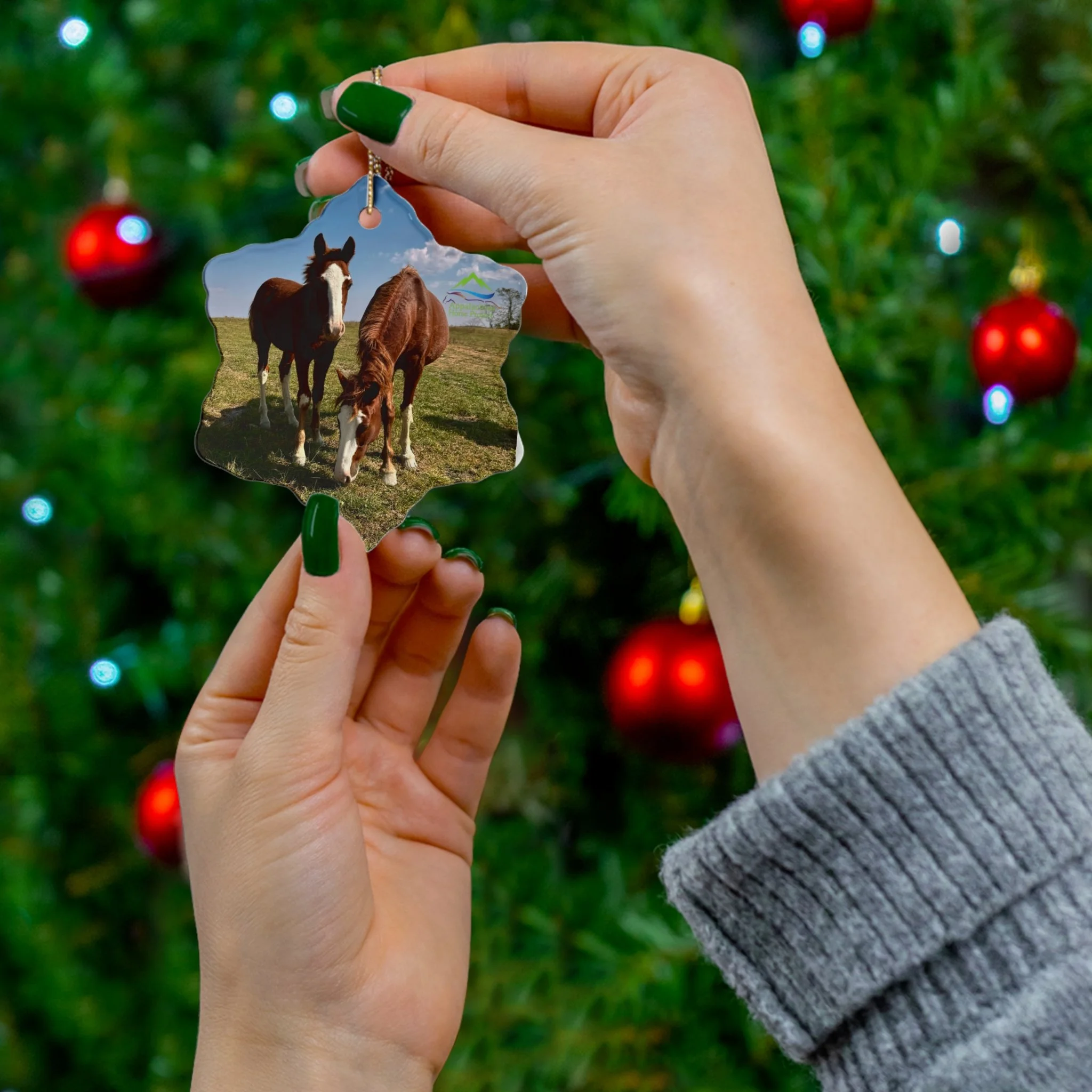 00dce3aa3cb6eb21856789f00f5415ea