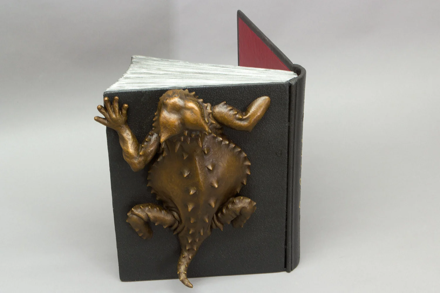 Where did the Horny Toad Go?