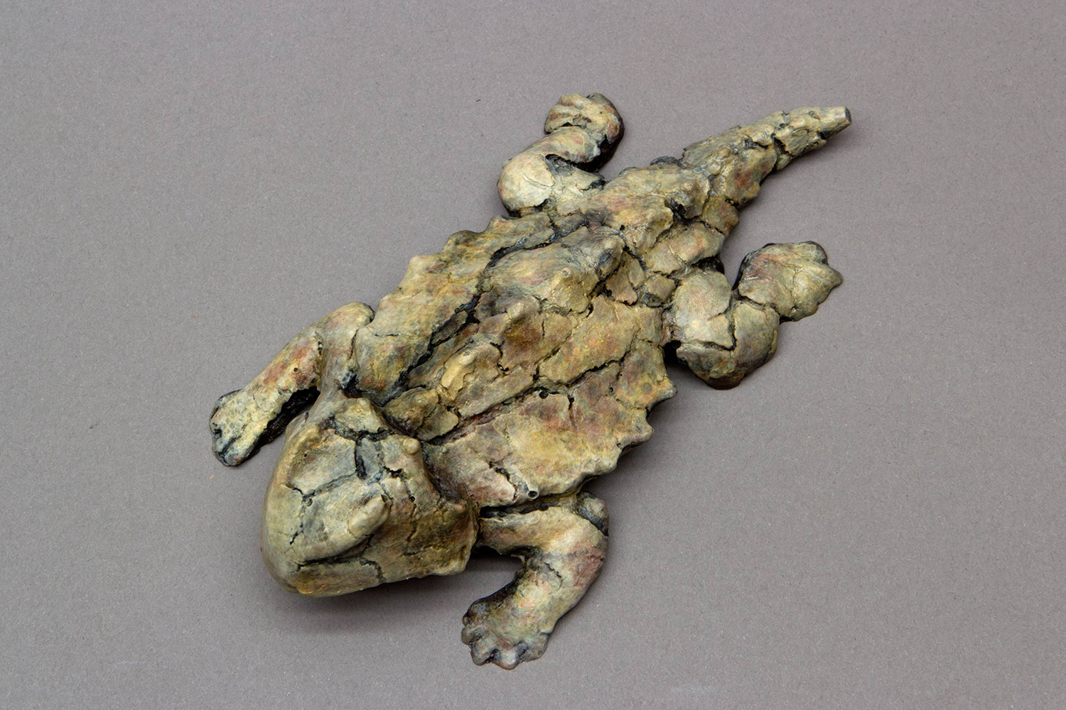 Hornytoad  (maquette)