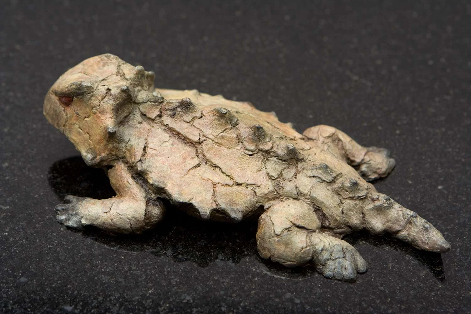 Hornytoad (tiny)