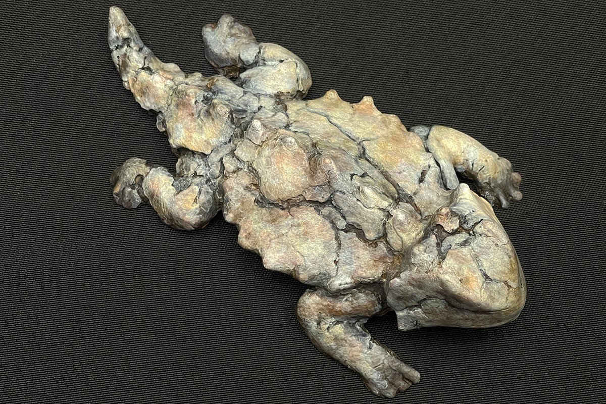 Hornytoad (maquette)