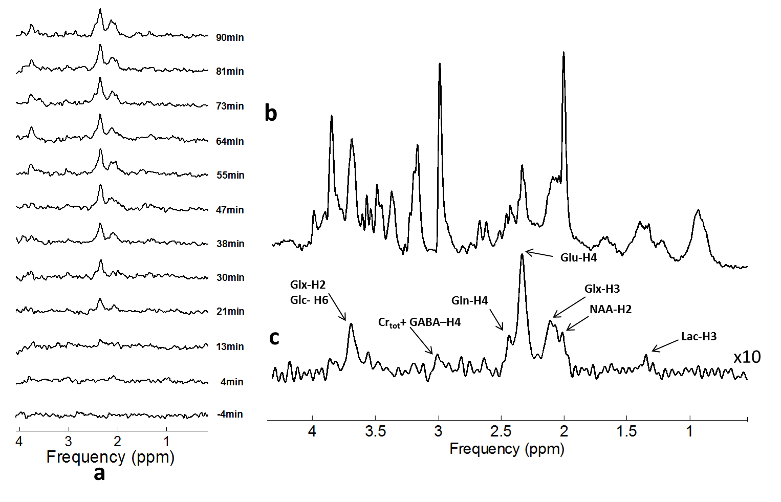 Dynamic in-vivo 13C MRS of the rat brain during infusion of 13C labelled Glucose.