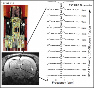 ipn_figure2_0.png