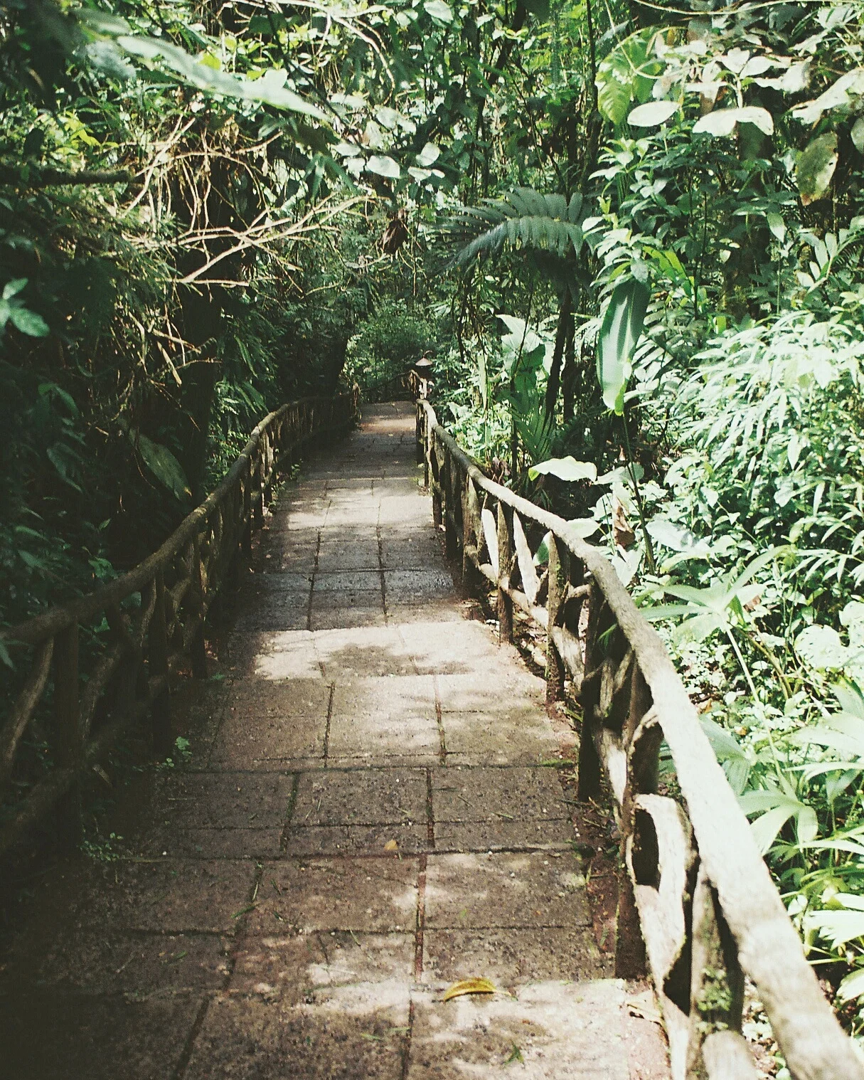 R1-01918-0007.jpg