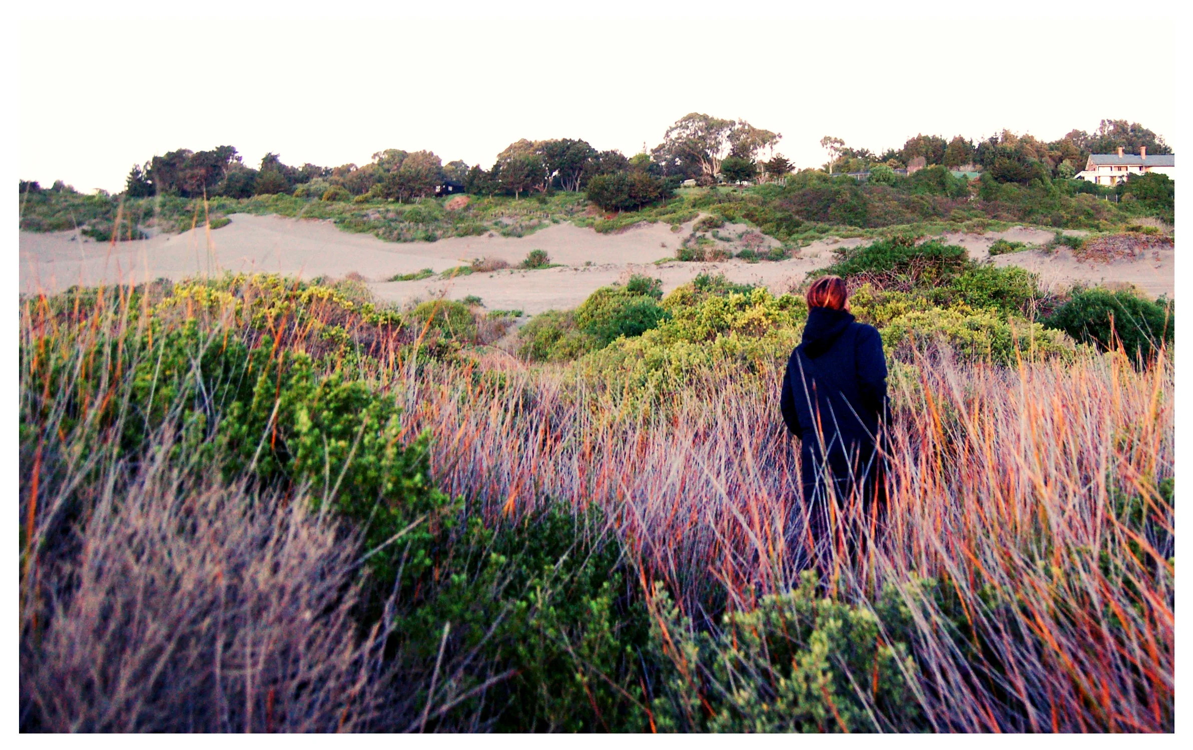 grass-sto-domingo.jpg