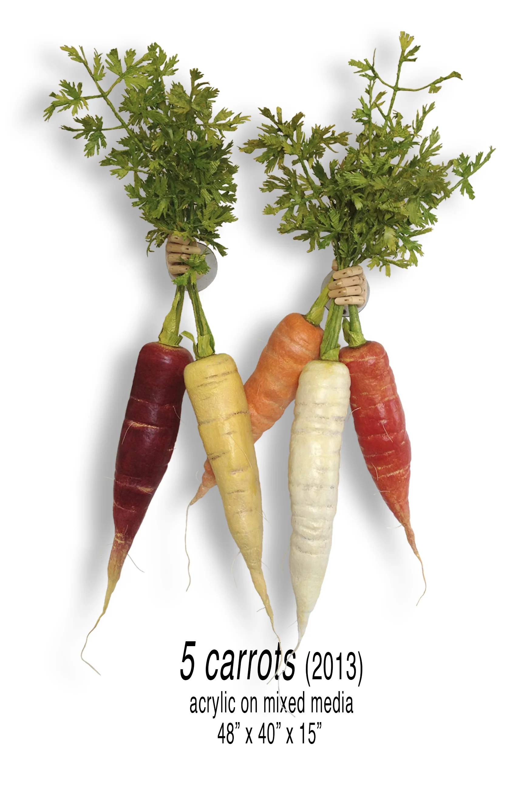 5 carrots.jpg