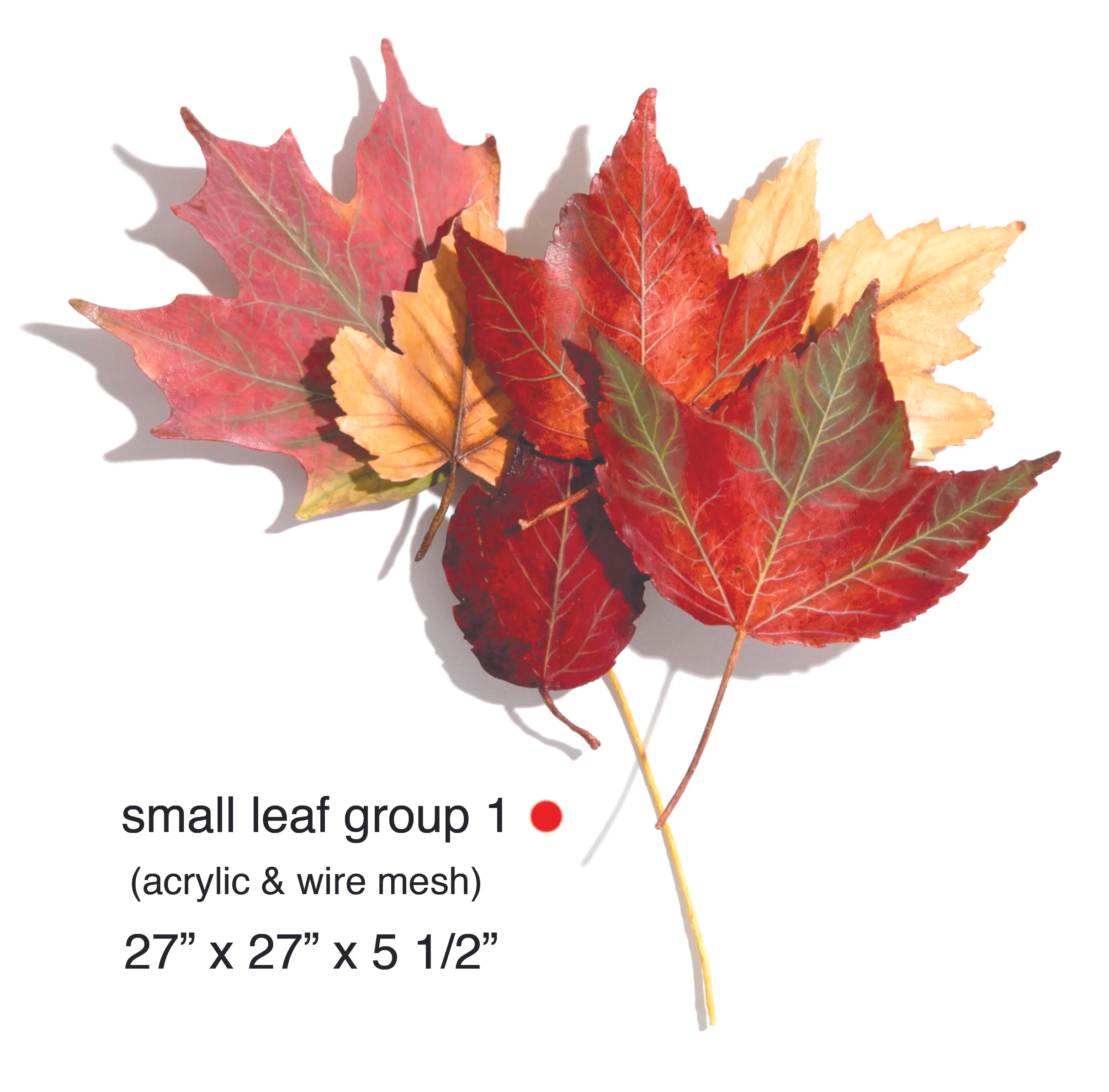 small leaf group 1.jpg