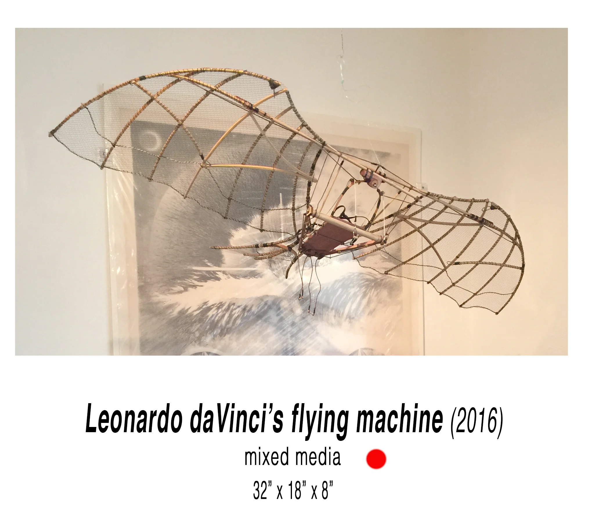 LDV's flying machine.jpg