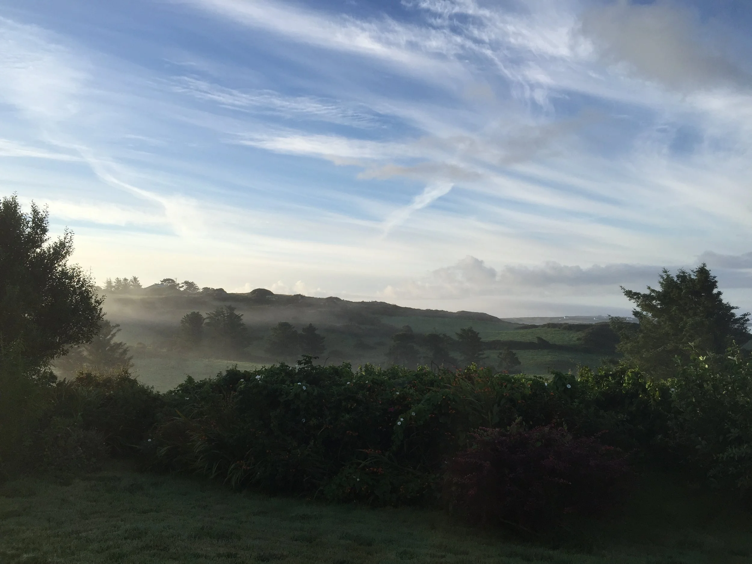 Intermediate Medical Intuitive Reading