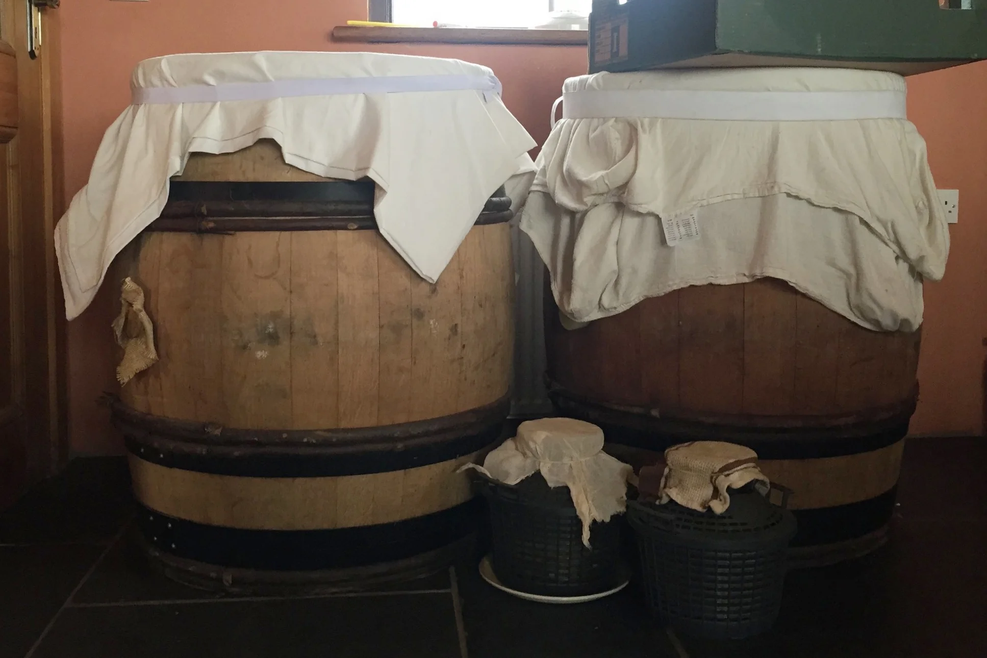 april-danann-wild-fermentation-workshop.jpg