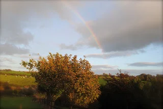 April-Danann-Rainbow-over-the-tree-Leap.jpg