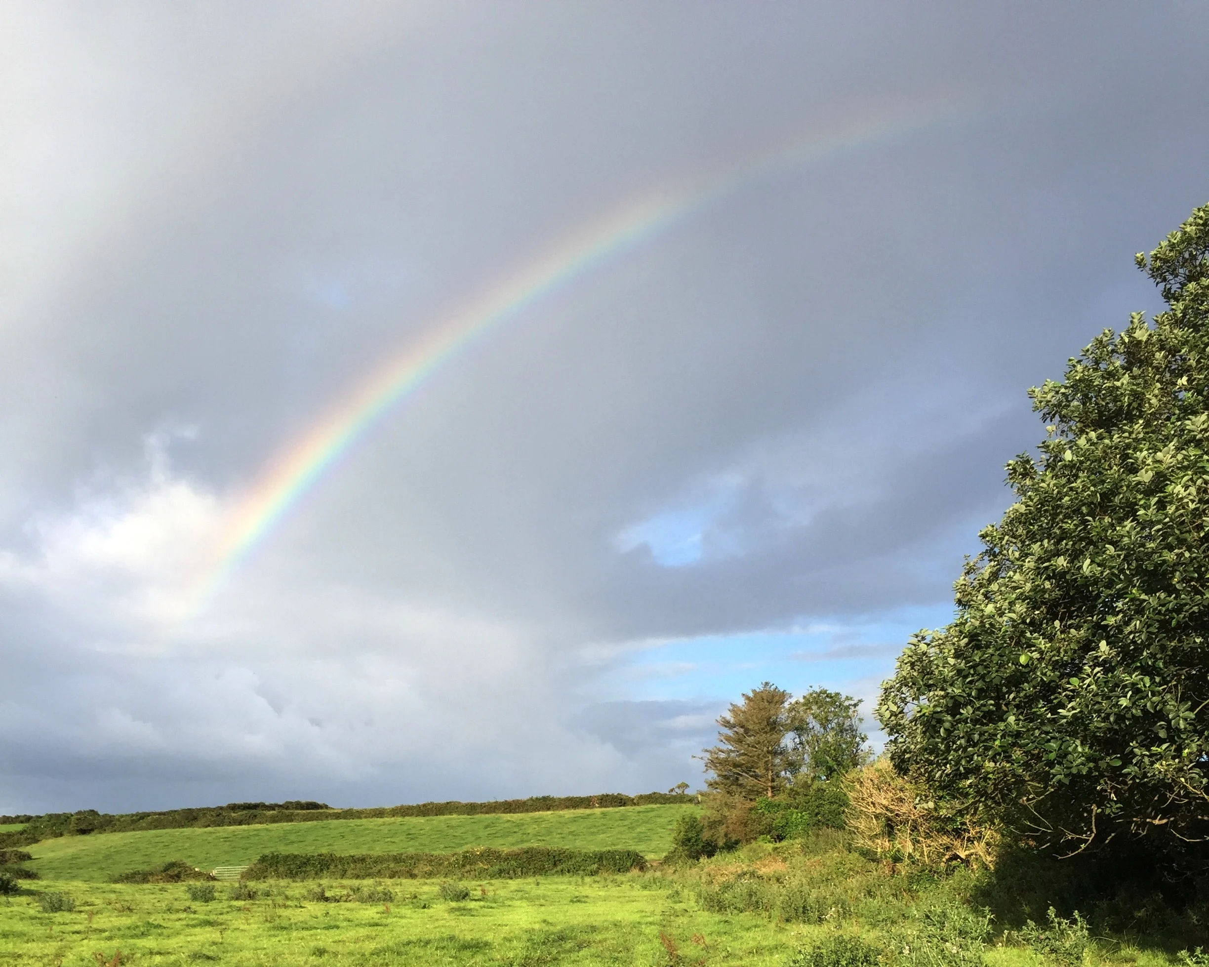 april-danann-rainbow.jpg