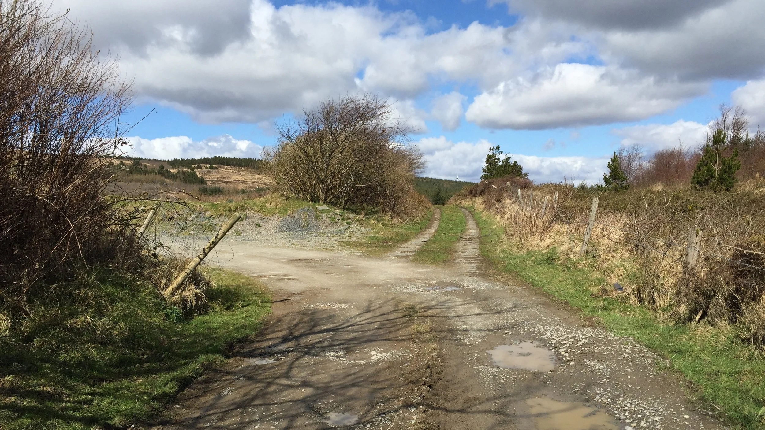 april-danann-fork-in-the-road.jpg