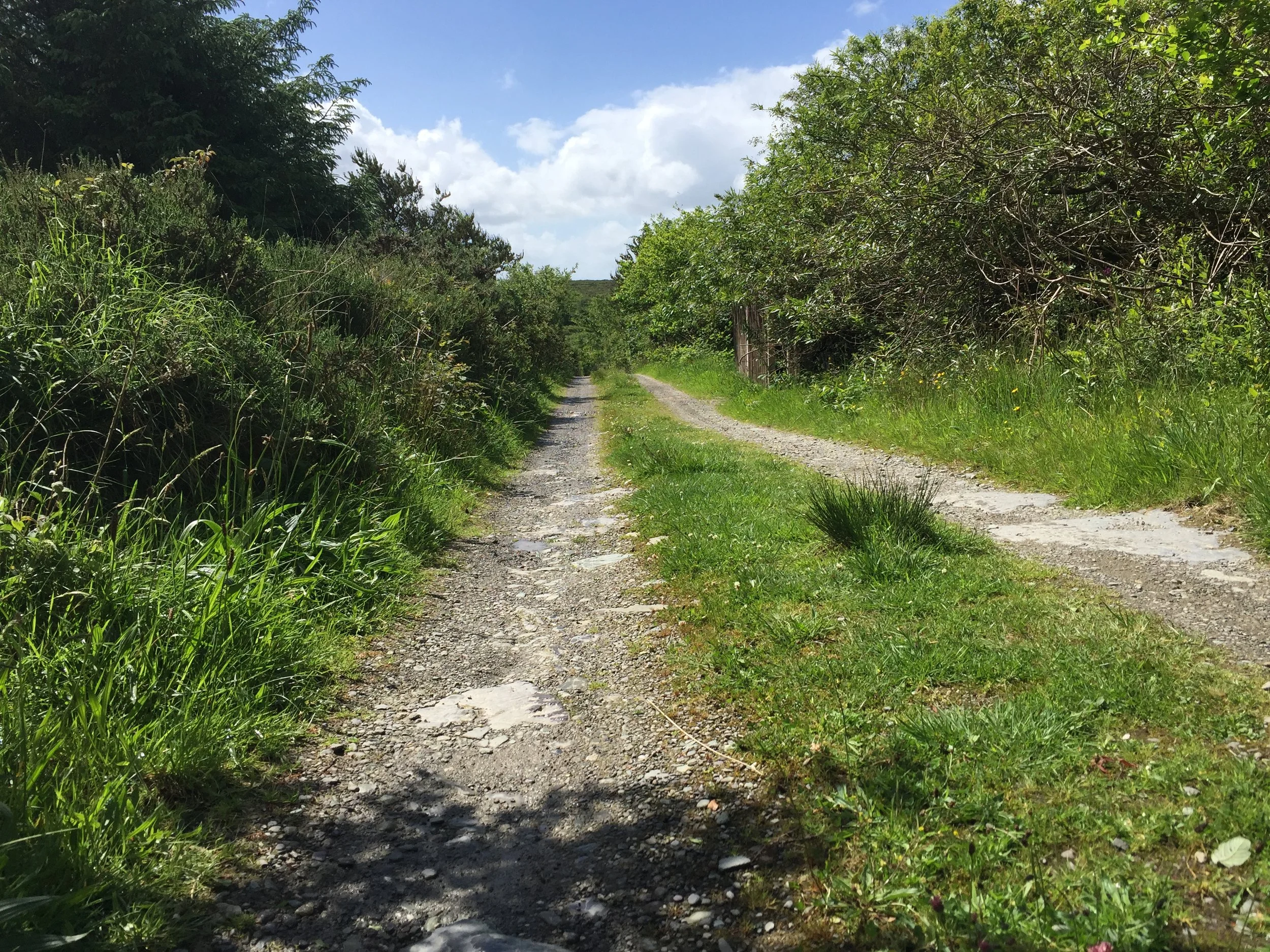 april-danann-boreen.jpg