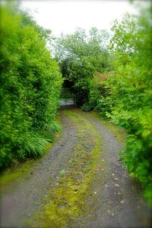 april-danann-LIfes-a-Path.jpg