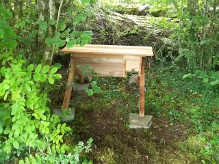 april-danann-Top-Bar-hive-with-bees.jpg