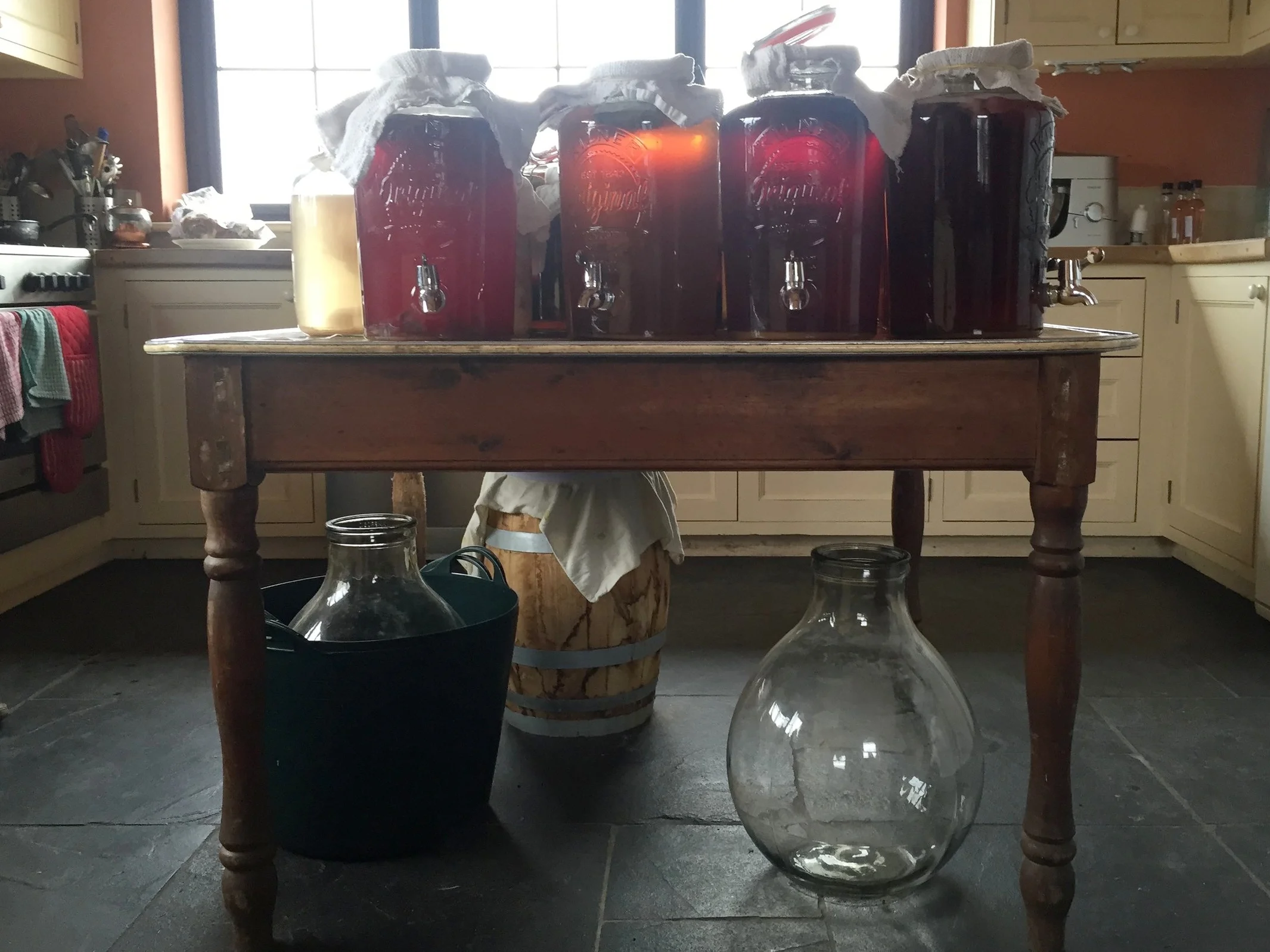 Wild Fermentation Advanced Master Class — April Danann