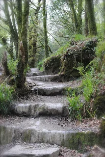april-danann-Path.jpg
