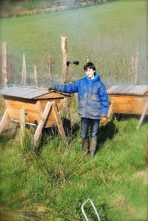 april-danann-Bee-hives-Trevor.jpg