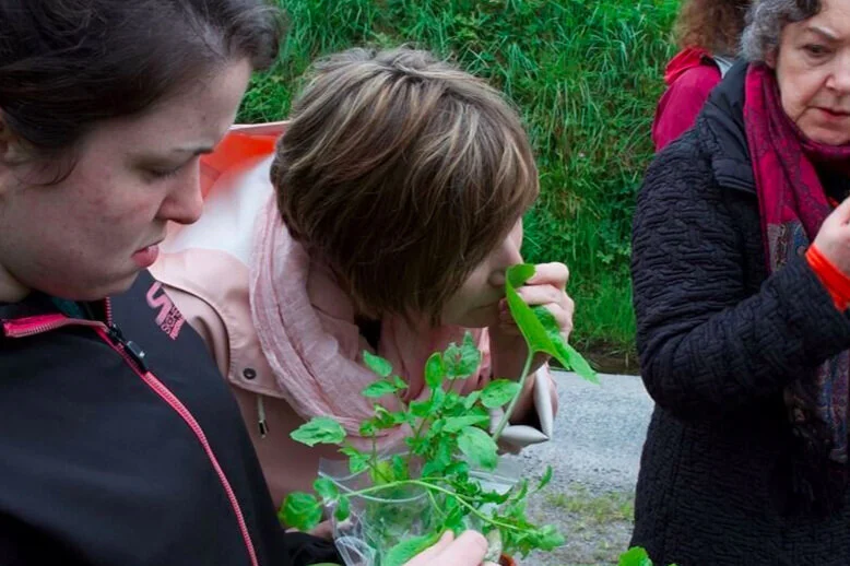 april-danann-wild-foraging-walk.jpg