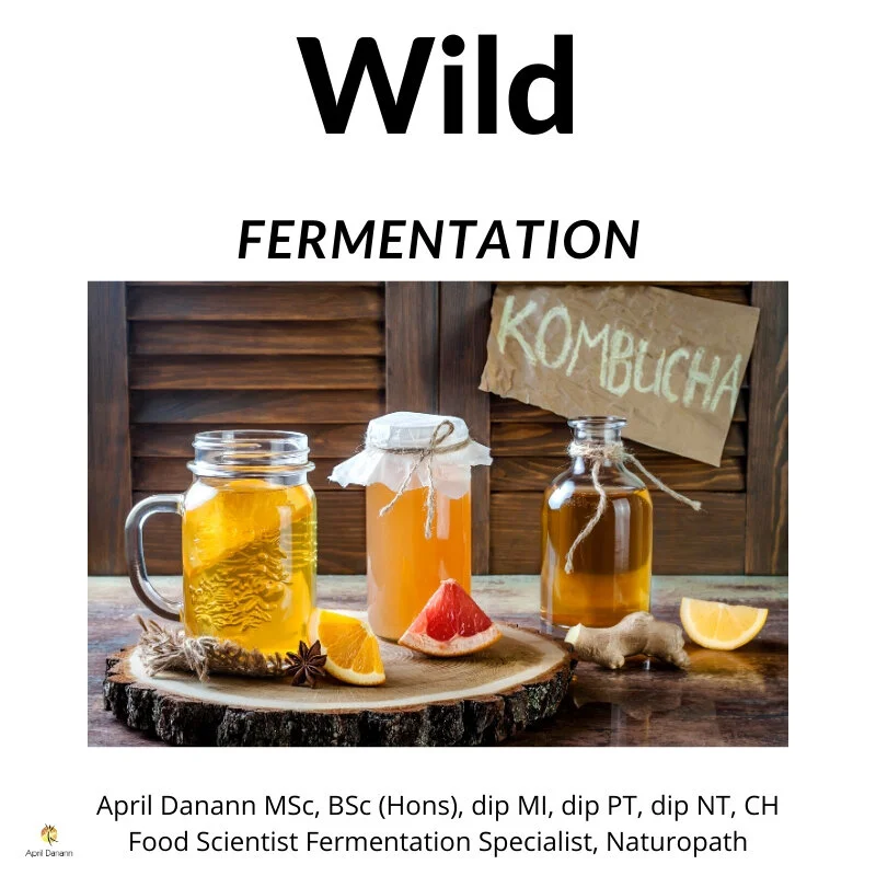 Wild Fermentation E-Book