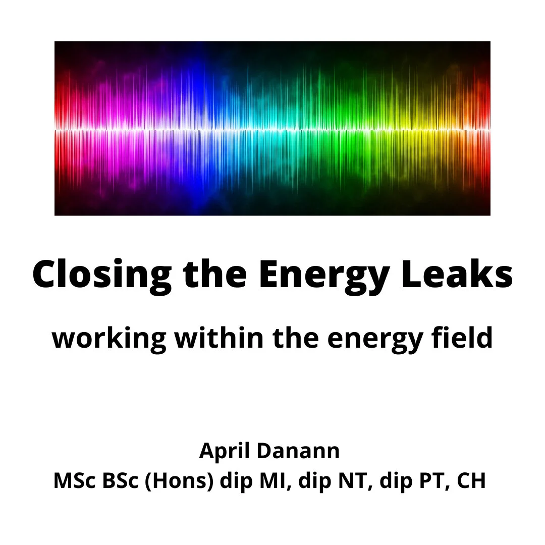 Closing the Energy Leaks ebook