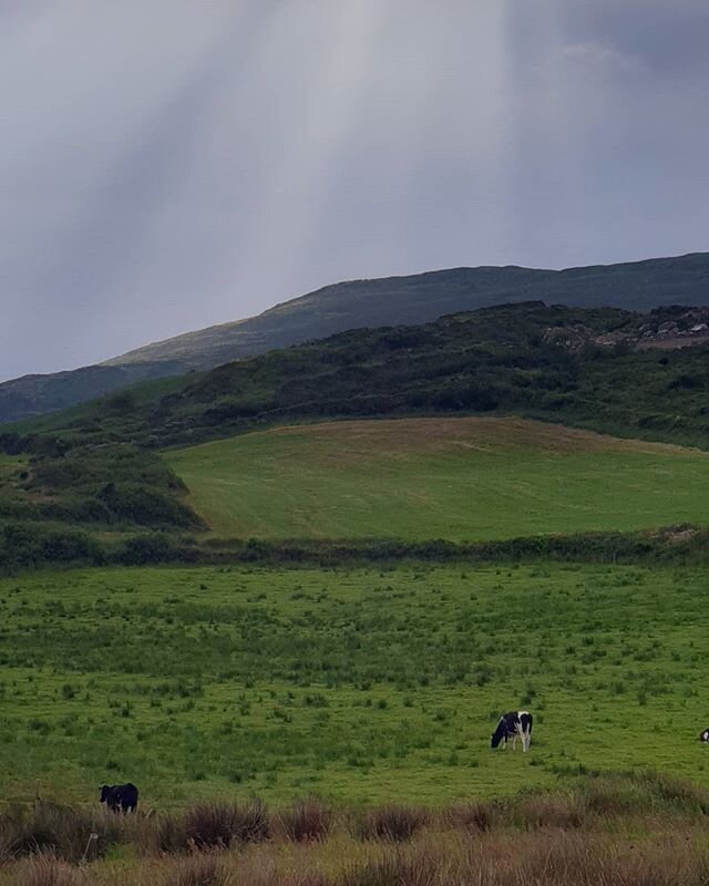 For the day that it is 
Sunlight reaching down on the hills and fields 🙏🌿
.
.
.
.
.
.
#nature #goodvibes #energyshift #herbalist #naturopath #wildfermentation #medicalintuitive #wild #earthmagic #spirituality #life #foodie #magic #irishweather