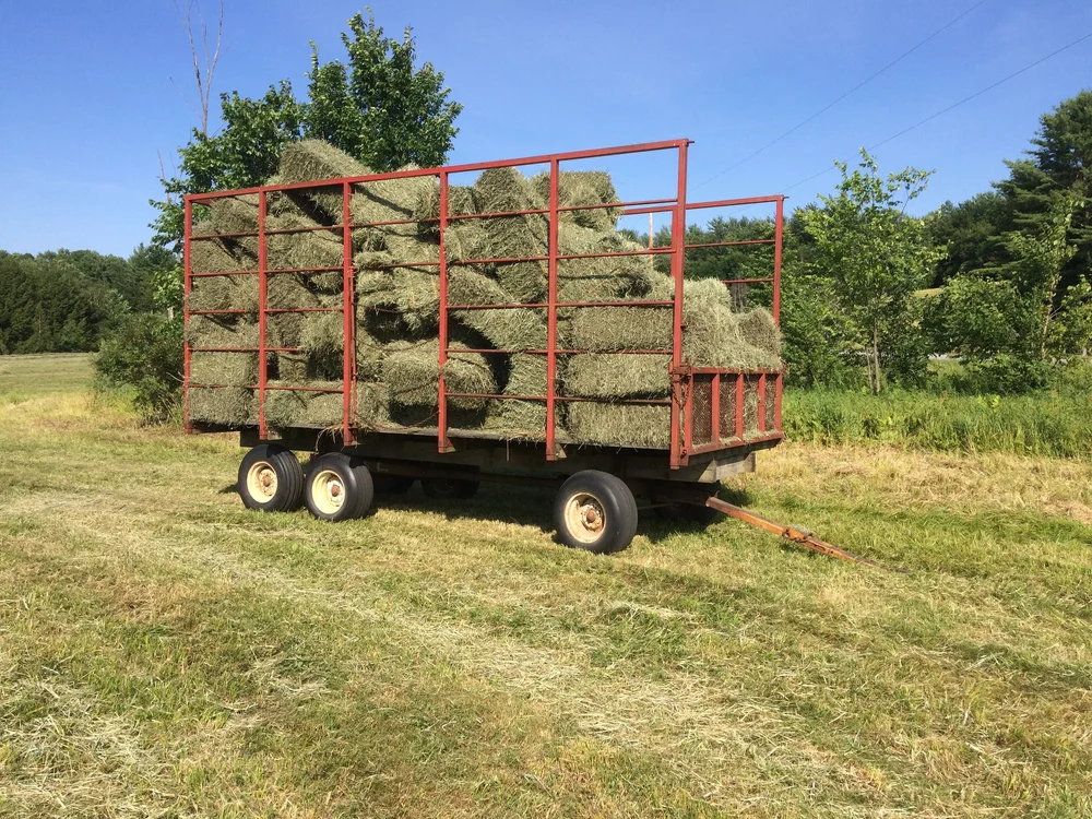 Hay — Last Resort Farm