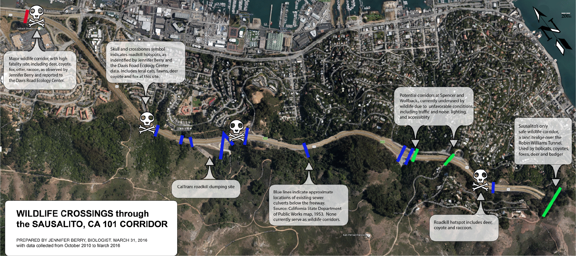 Ghost Highway: Wildlife Crossings Map