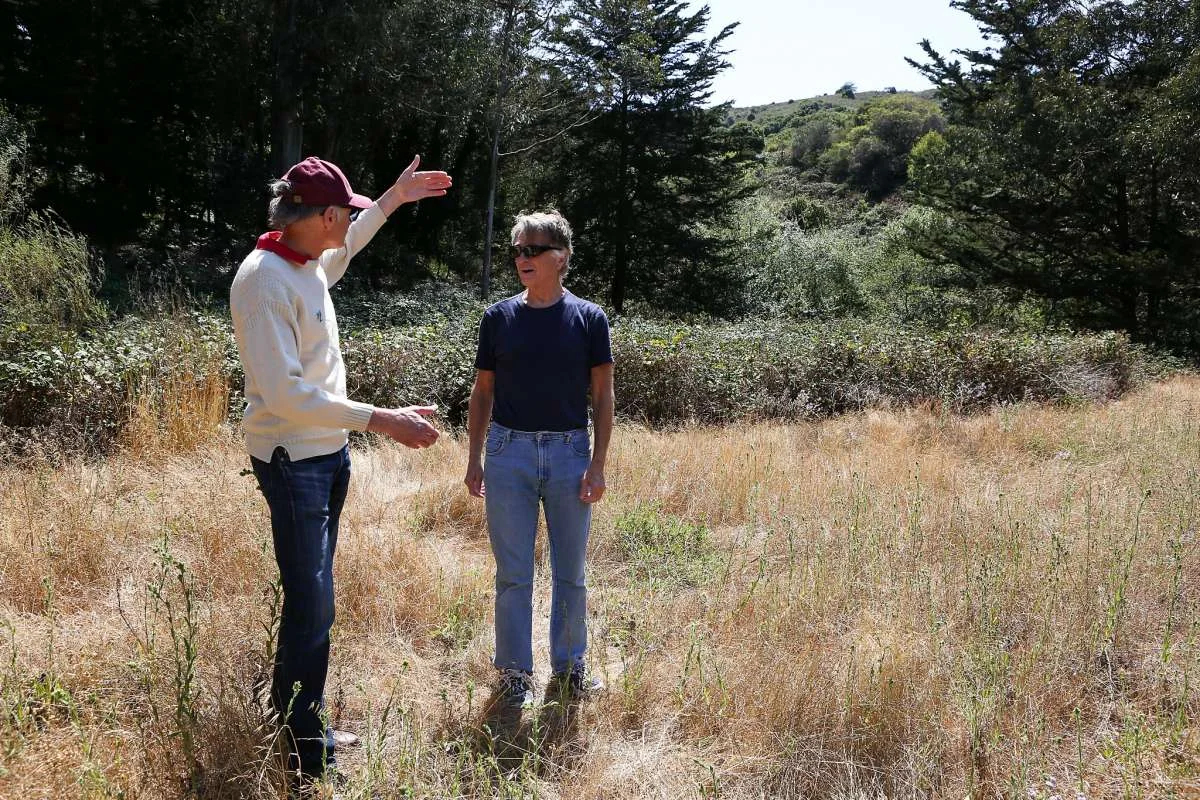 Open Space Sausalito, Saucelito Creek