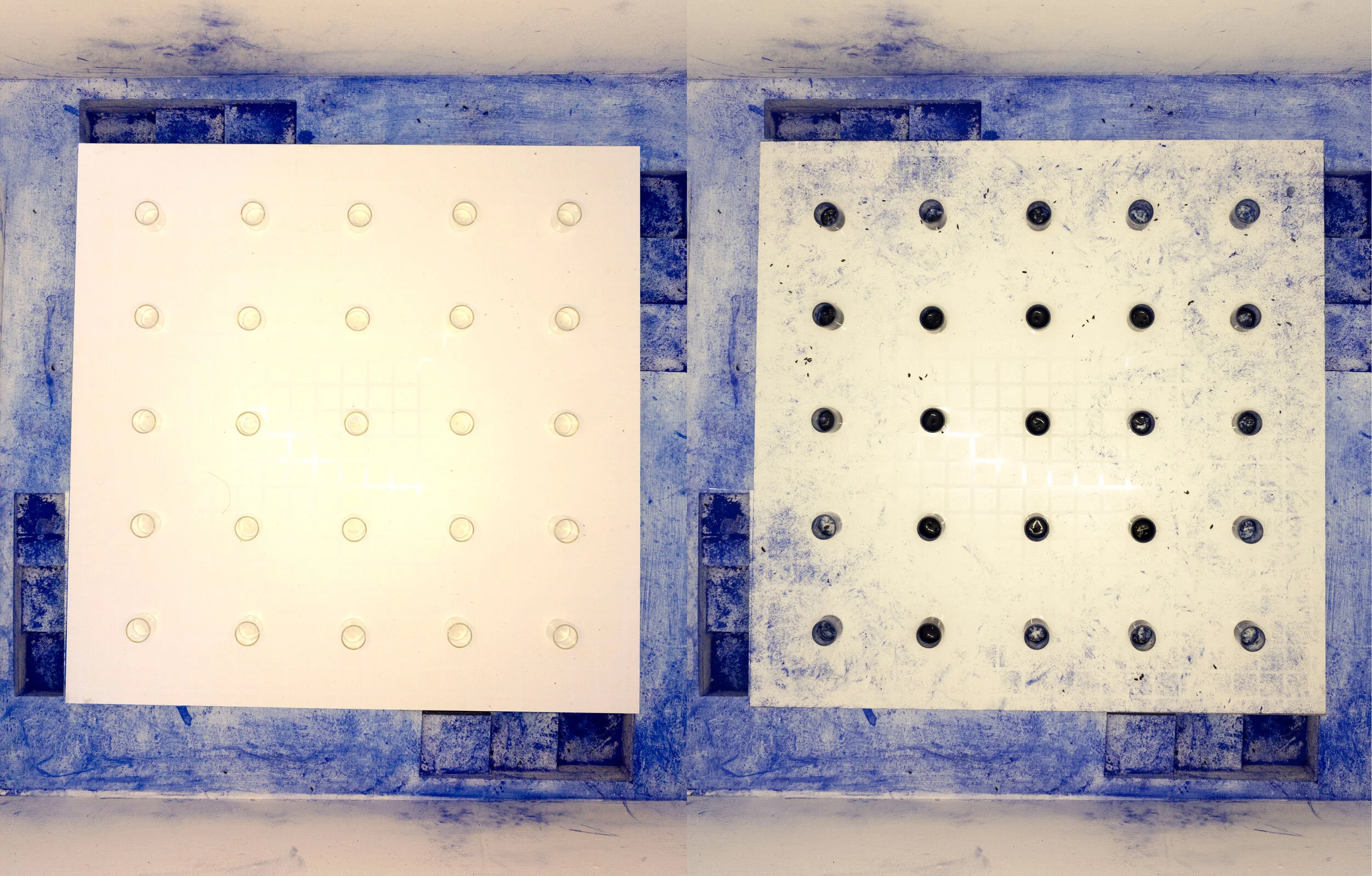 Process images for this is Absurd_Mouse