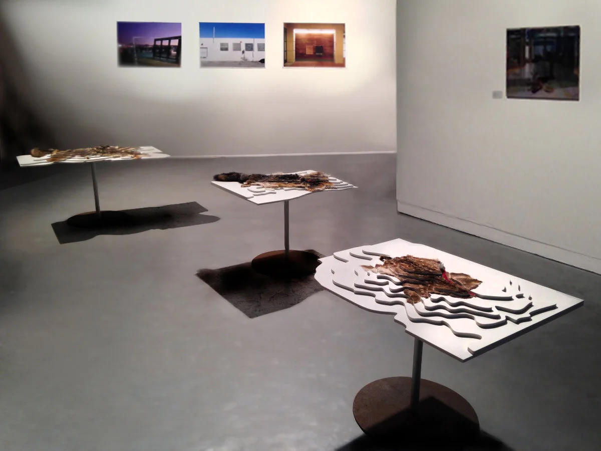 Hidden Cities Show, SOMarts