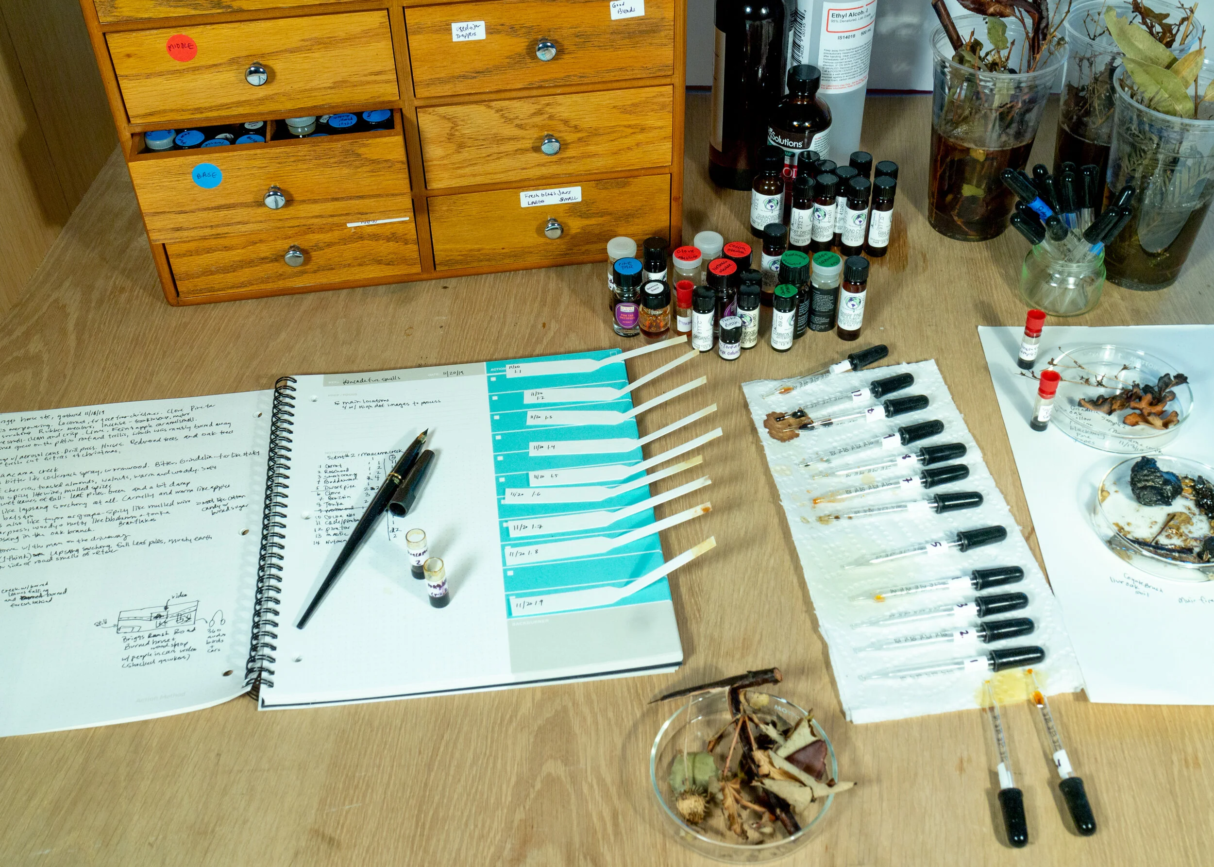 Studio image, exploring the scent of fires