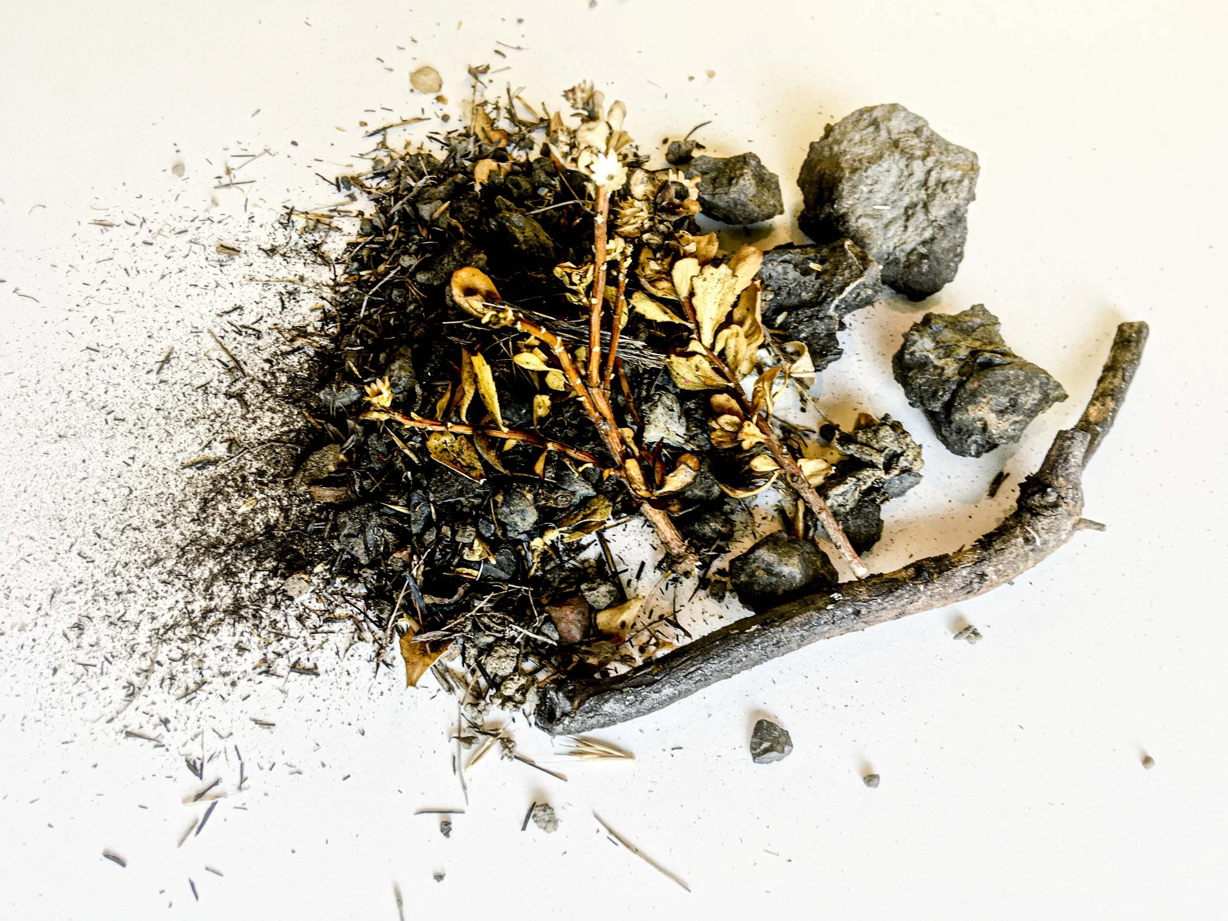 Muir Fire sample #1