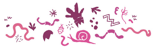 Compost Elements Worms Snail Microrganisms