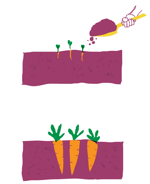 Compost Illustration