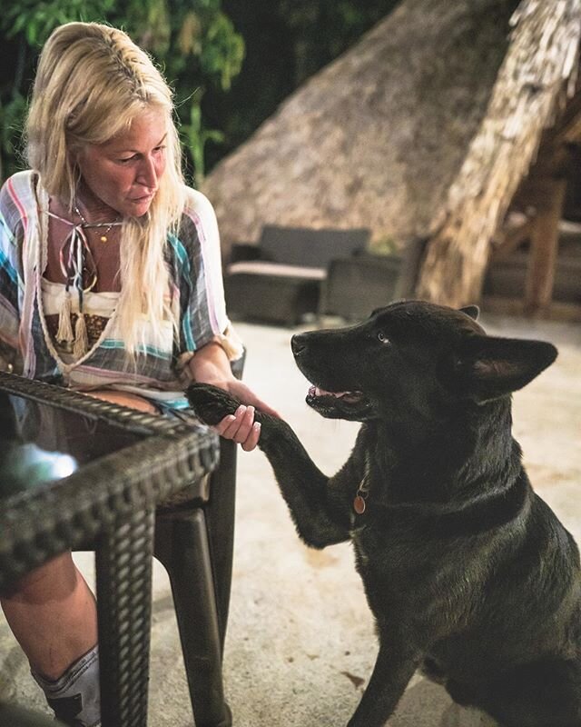 || Making friends everywhere we go! ❤️ Can&rsquo;t wait to get back to holding hands (and paws)! 😊 Miss you @hotelmichanti 🙏🏽