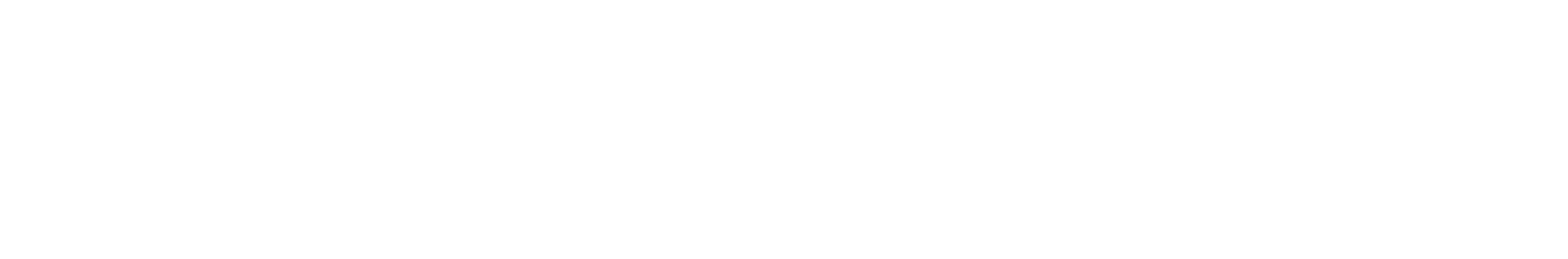 dual-title.png