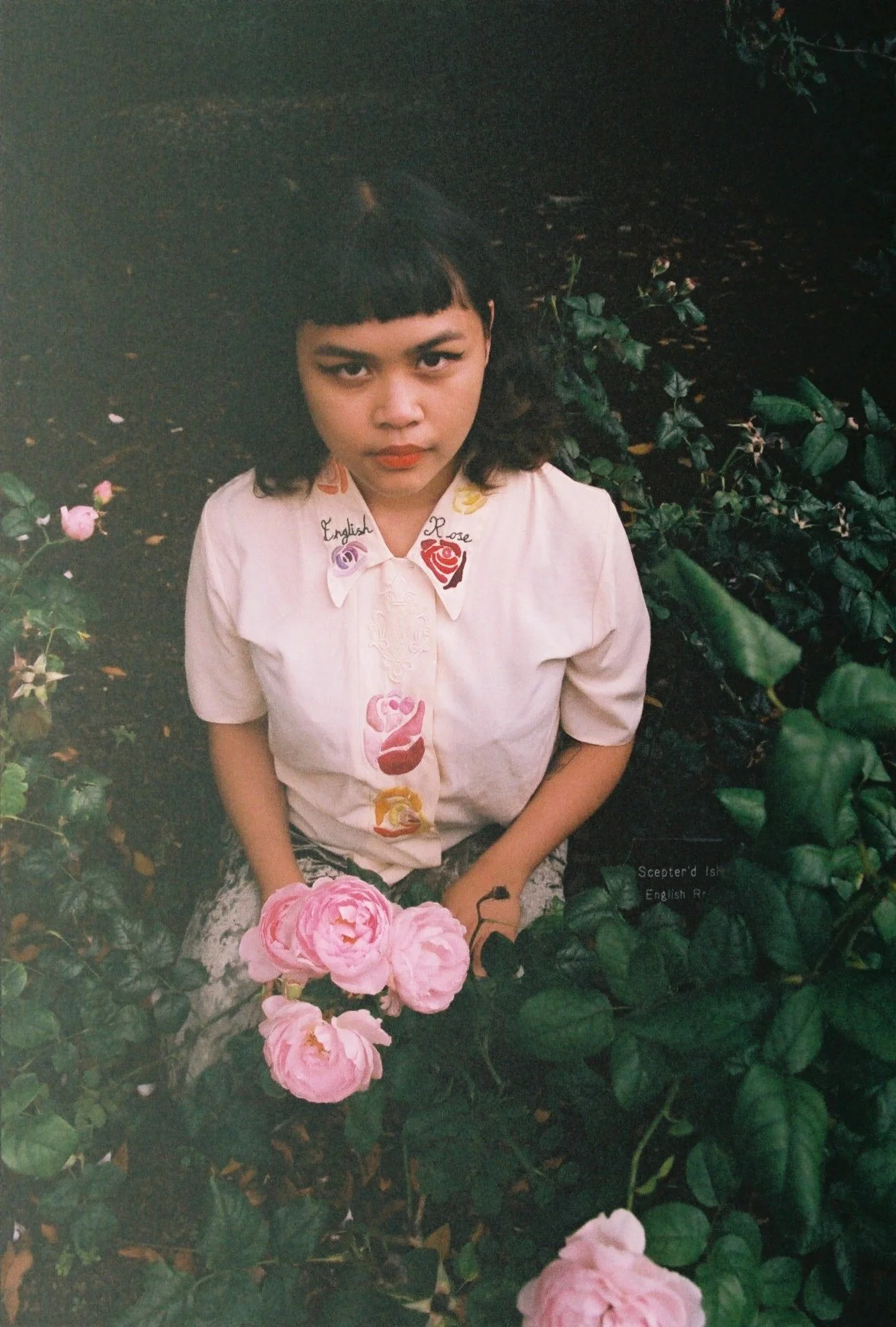 A Woman For All Seasons - Summer