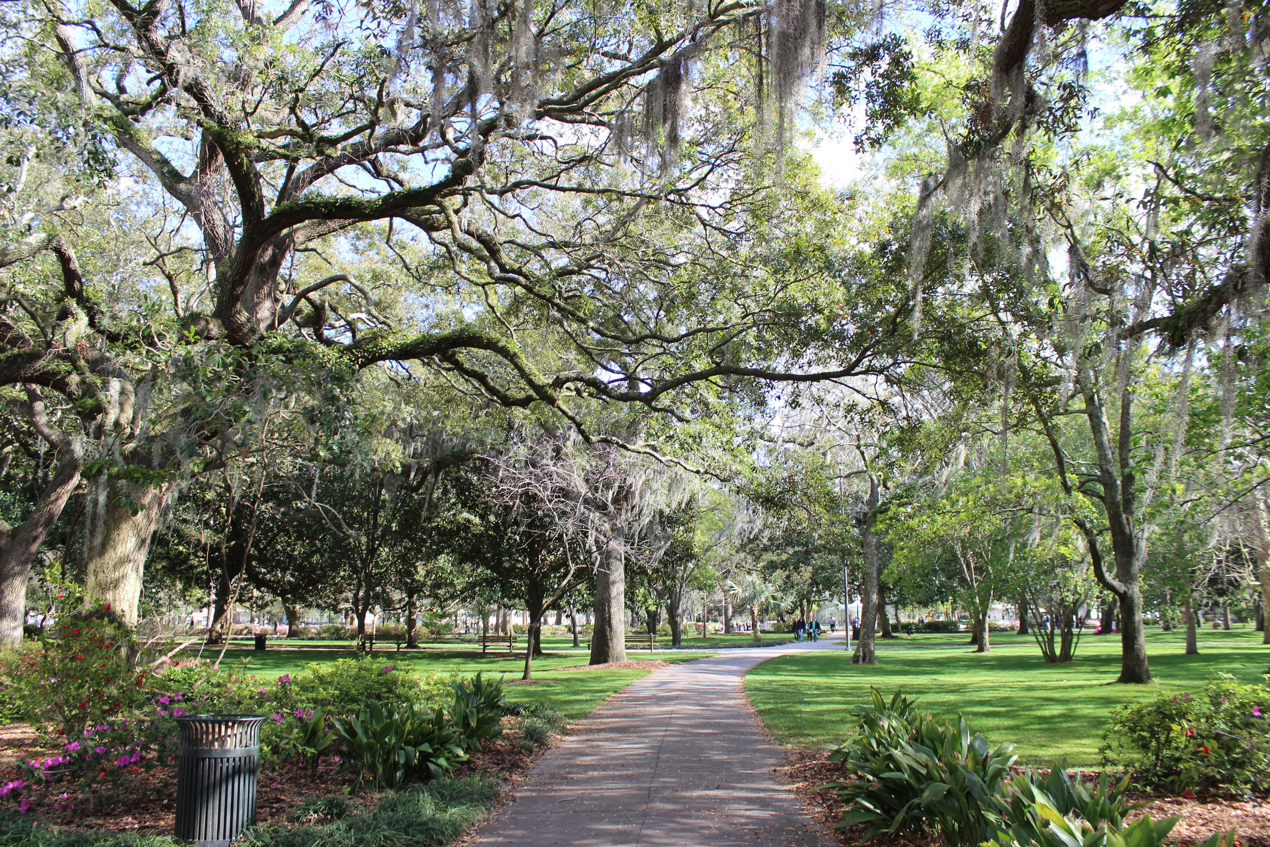 Savoring Sweet Savannah