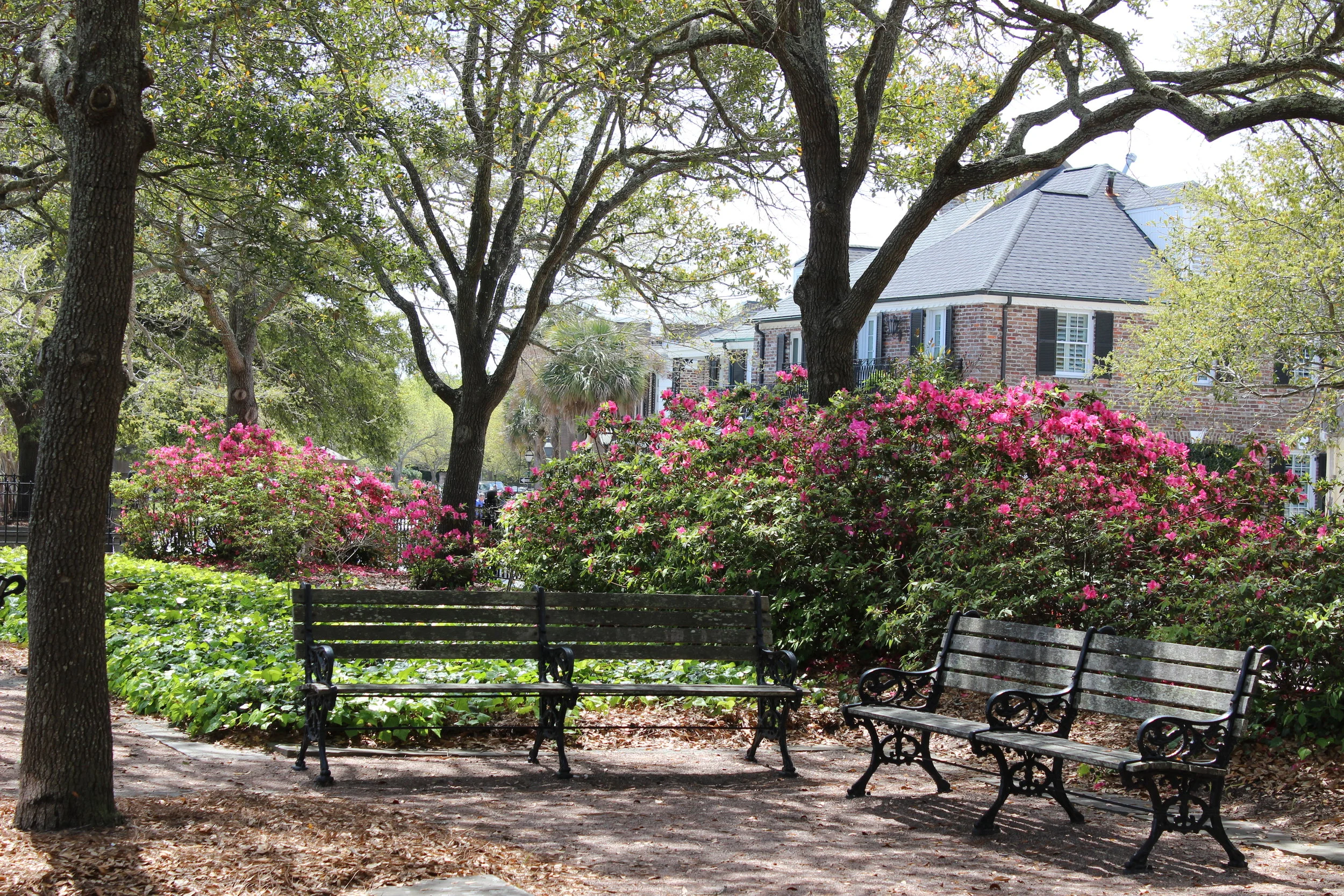 Charming Charleston: Part Two