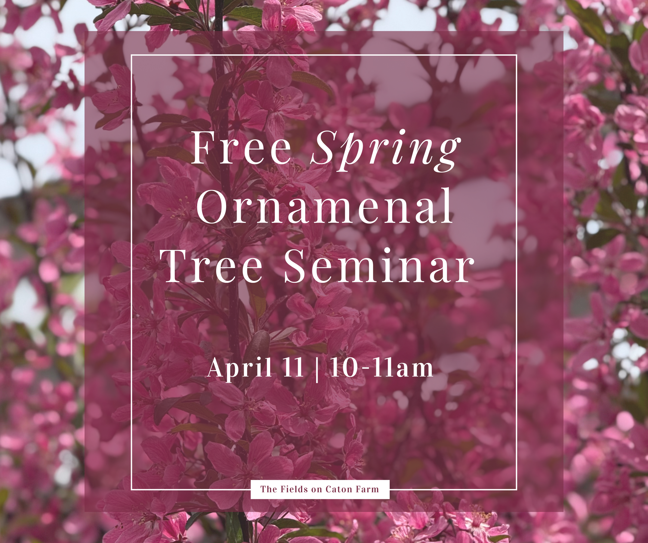 Ornamental Tree Seminar