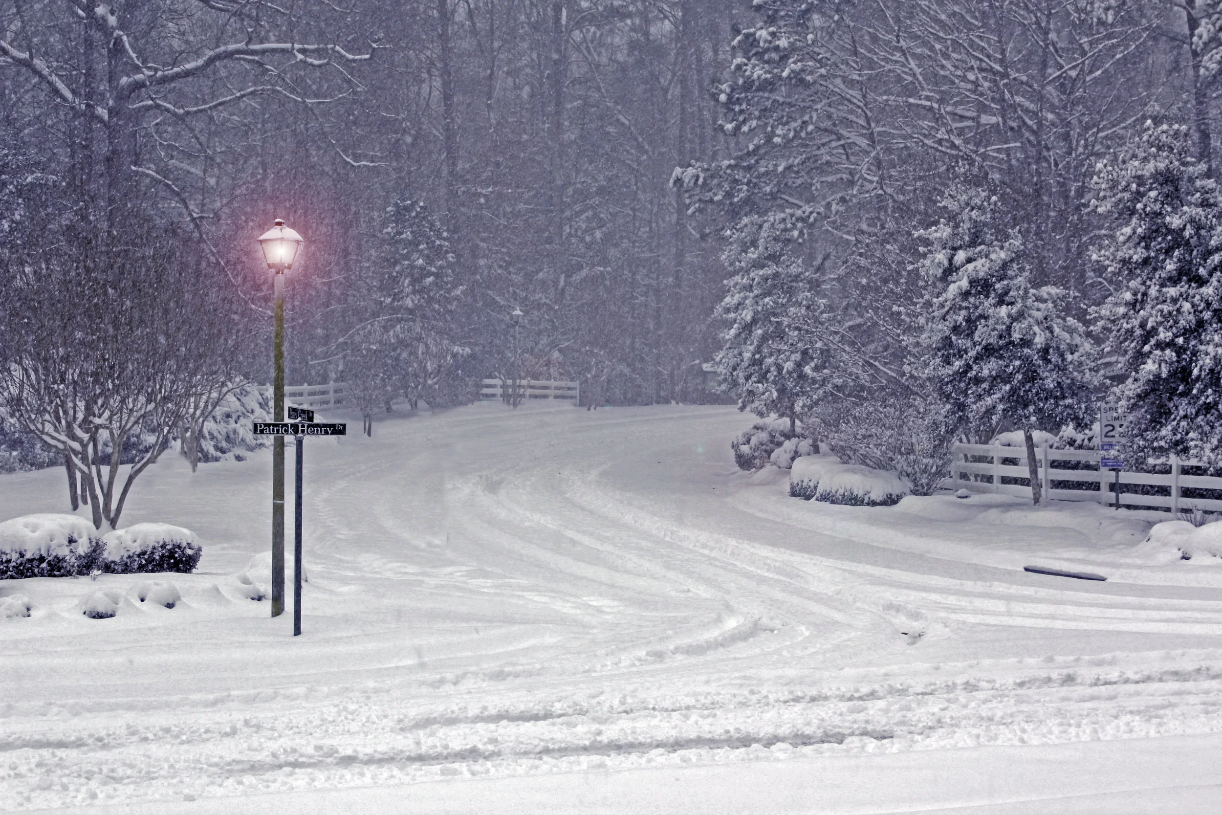 Photographer: Karlynn Walker Country: USA Title: Winter